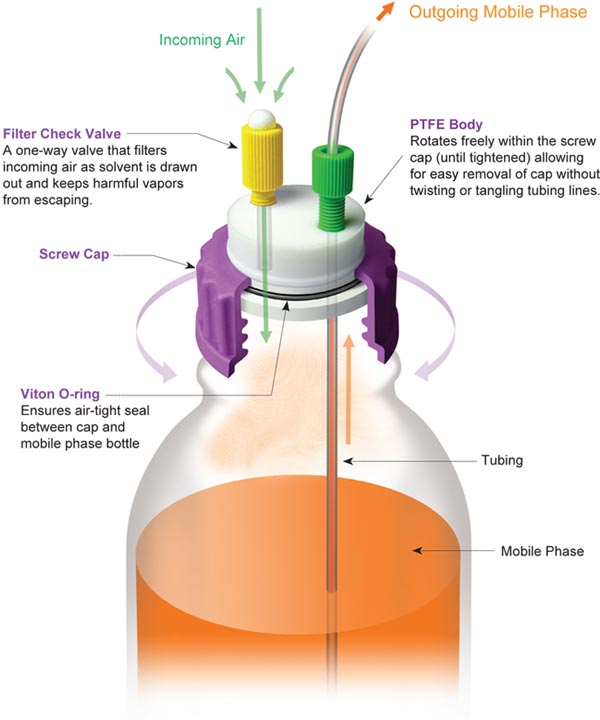 Mobile Phase Diagram