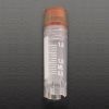 23012 Sterile 2mL Cryovials w/ Internal Threads and Cap w/ Red Silicone O-ring
