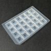 24777 24-Well Clear Silicone/PTFE Cap Mat for 24-well Collection Plates