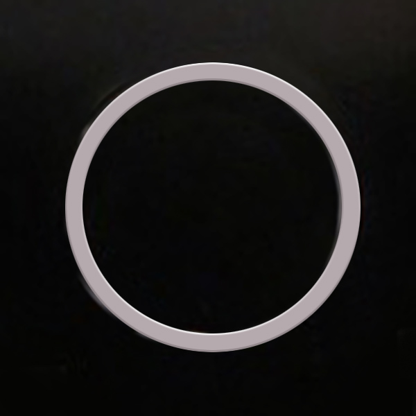 Filter Retainer Ring