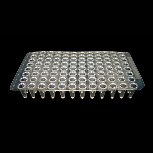 96-9619 Clear Low Profile PCR Plate - No Skirt