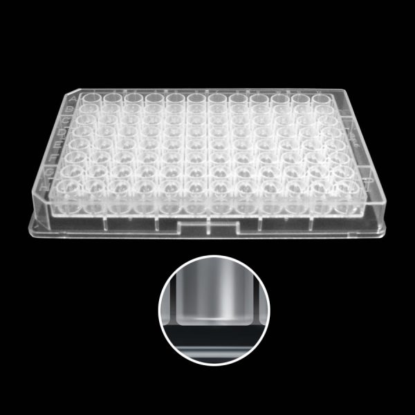 96390 PP 96-Well Collection Plate with V-Shaped Well Bottoms, Clear