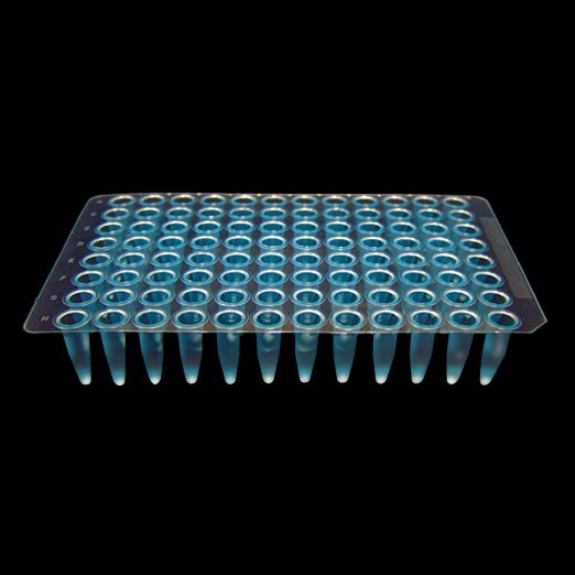 969610B Blue PCR Plate - Flat Well Rim