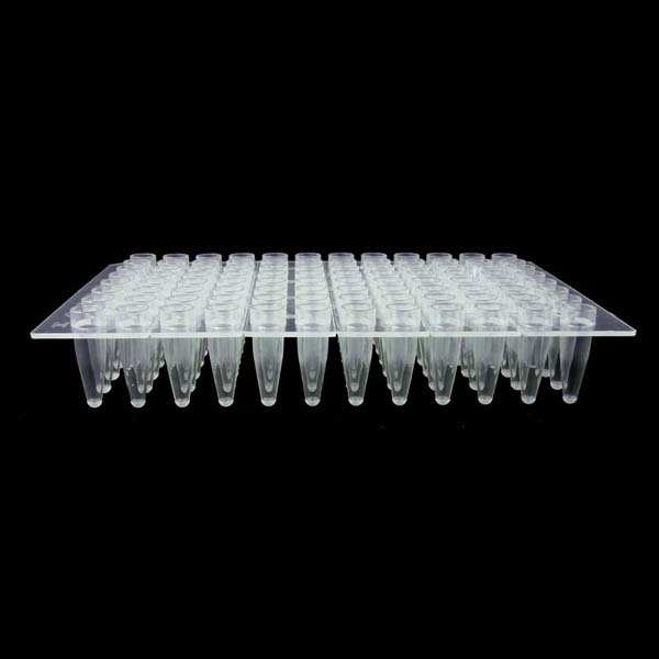 969620 Clear PCR Plate, 3mm Rim Around Each Well, Clear