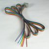 Ribbon Cable for HTe-Chem Assemblies (for alternate power supply)